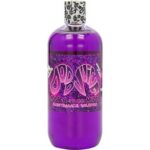 DJBM500 Born To Be Mild  Maintenance Shampoo 500ml