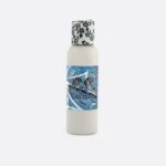 DJIG100 Iron Gloss Paint Sealant 100ml